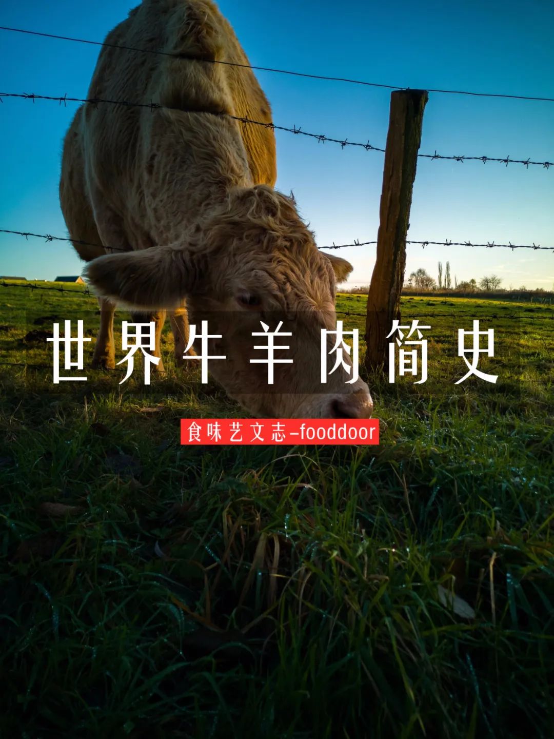 为什么新疆捐了牛,蒙古捐了羊?