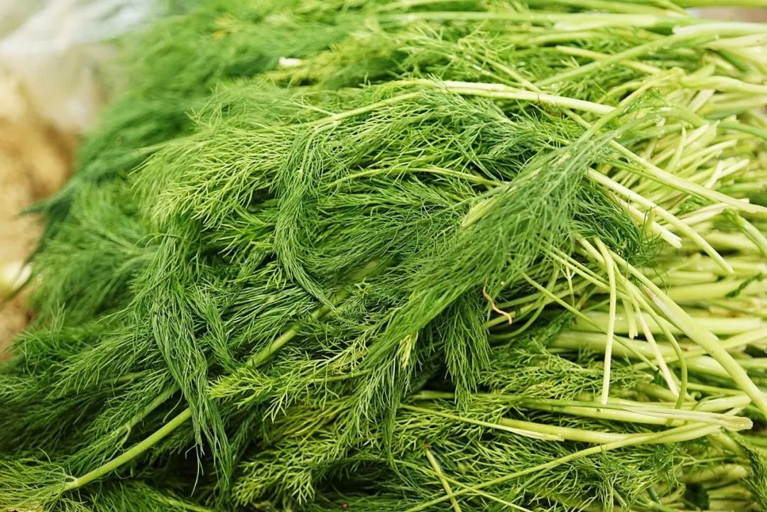 可能是中国最美菜市场 (史上最多图