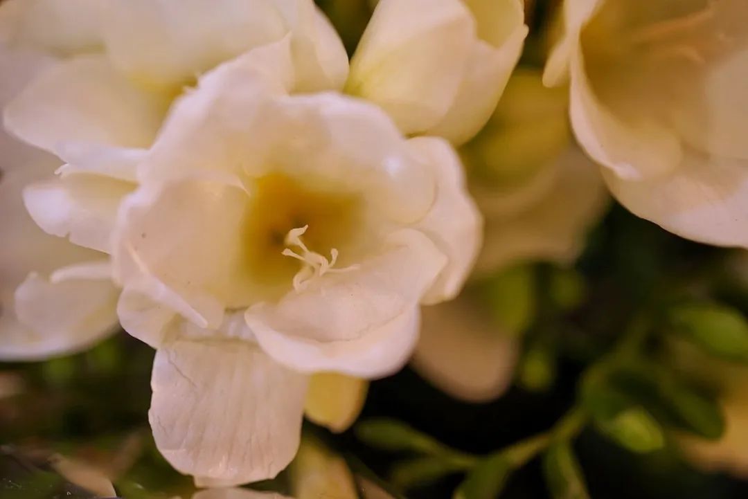 可能是中国最美菜市场 (史上最多图
