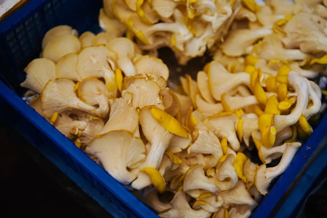 可能是中国最美菜市场 (史上最多图