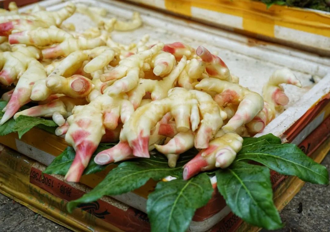 可能是中国最美菜市场 (史上最多图