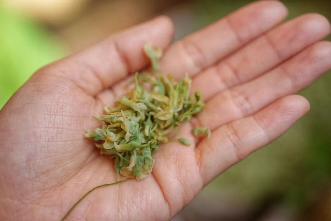 可能是中国最美菜市场 (史上最多图