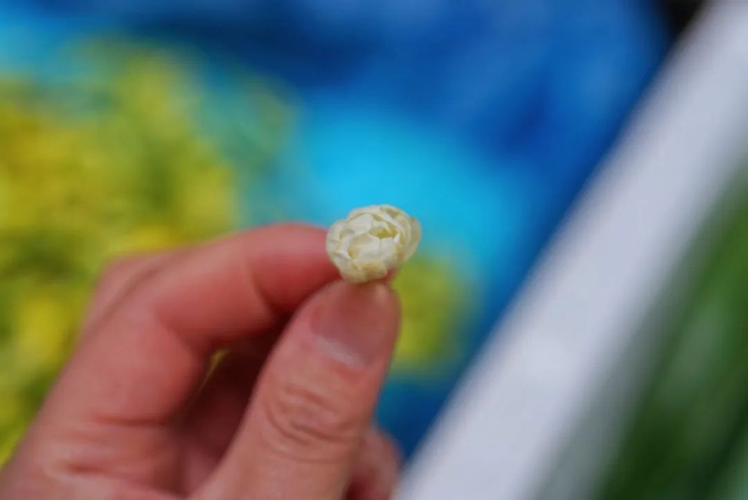 可能是中国最美菜市场 (史上最多图