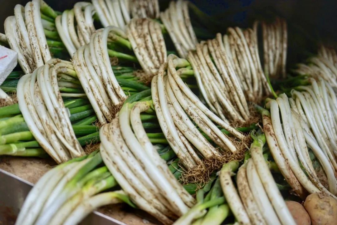可能是中国最美菜市场 (史上最多图