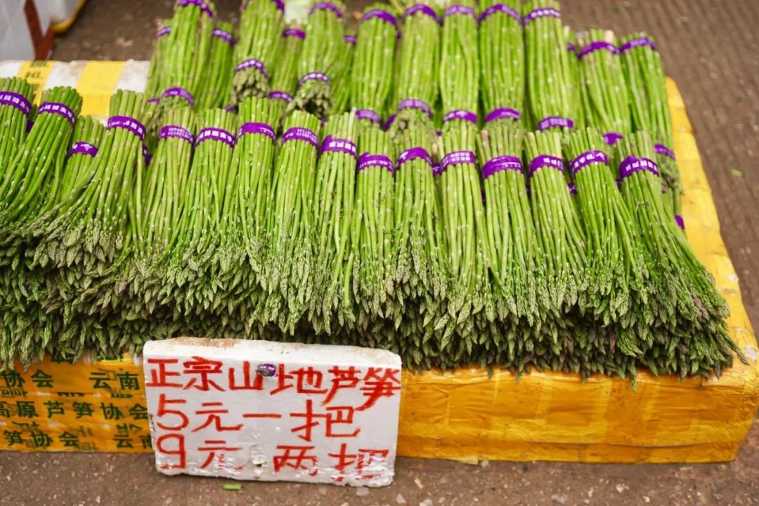 可能是中国最美菜市场 (史上最多图