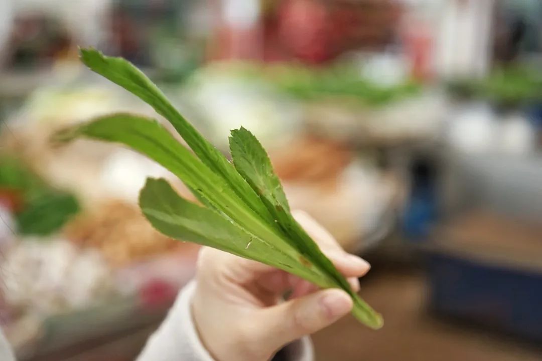 可能是中国最美菜市场 (史上最多图