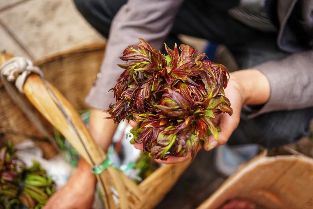 可能是中国最美菜市场 (史上最多图