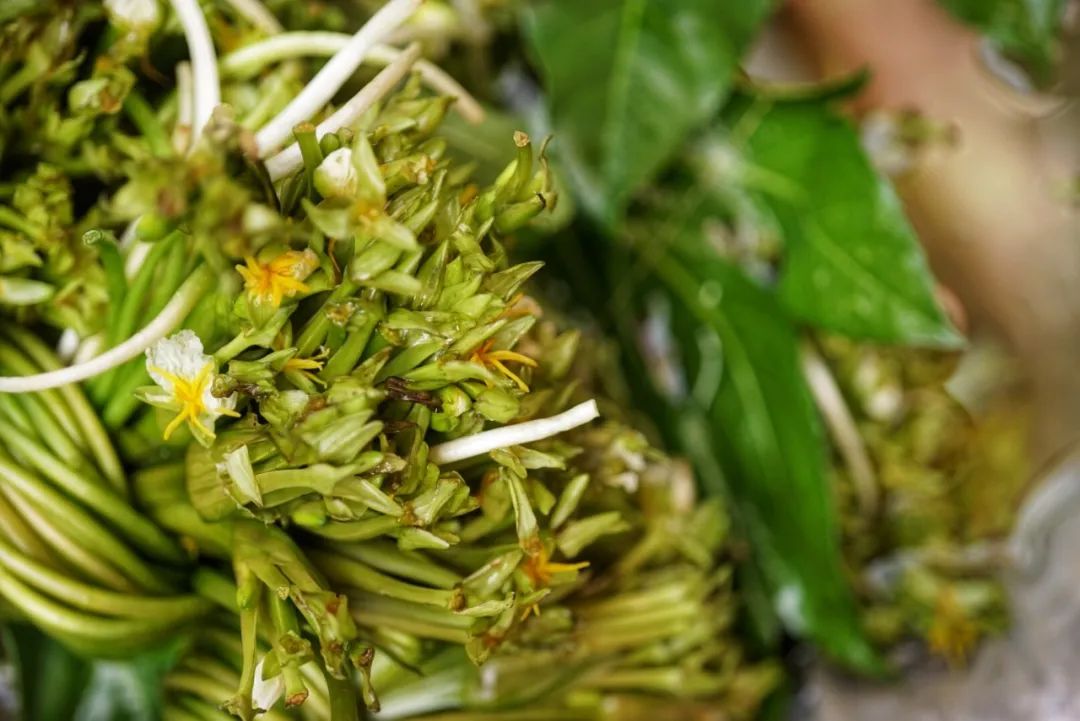 可能是中国最美菜市场 (史上最多图