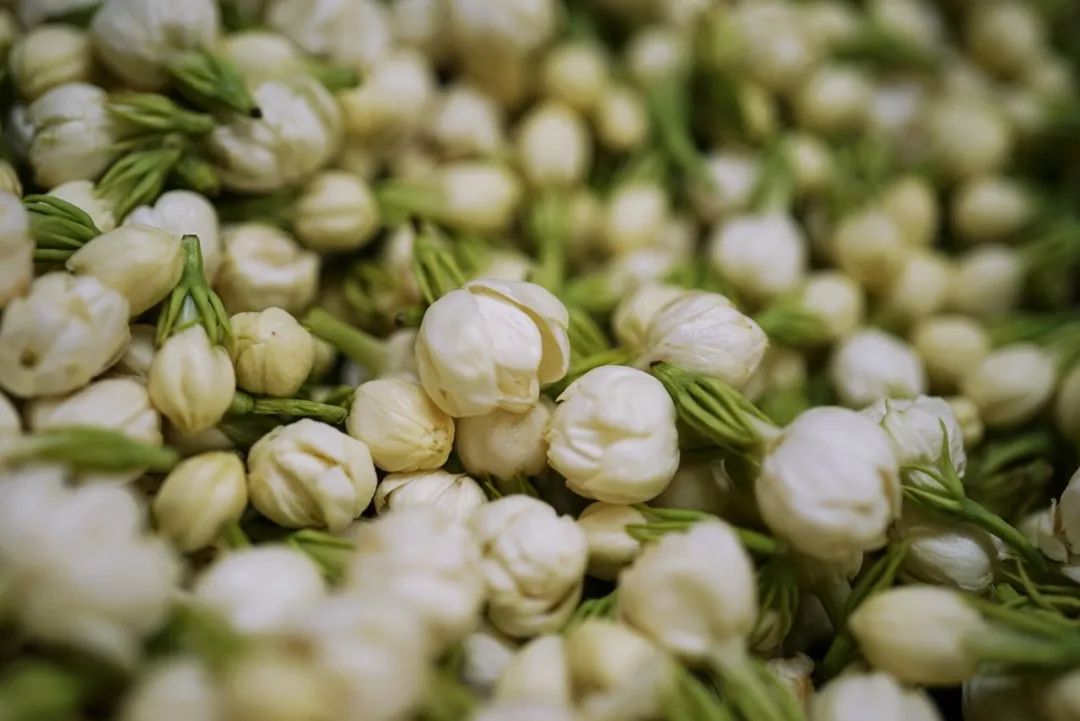 可能是中国最美菜市场 (史上最多图